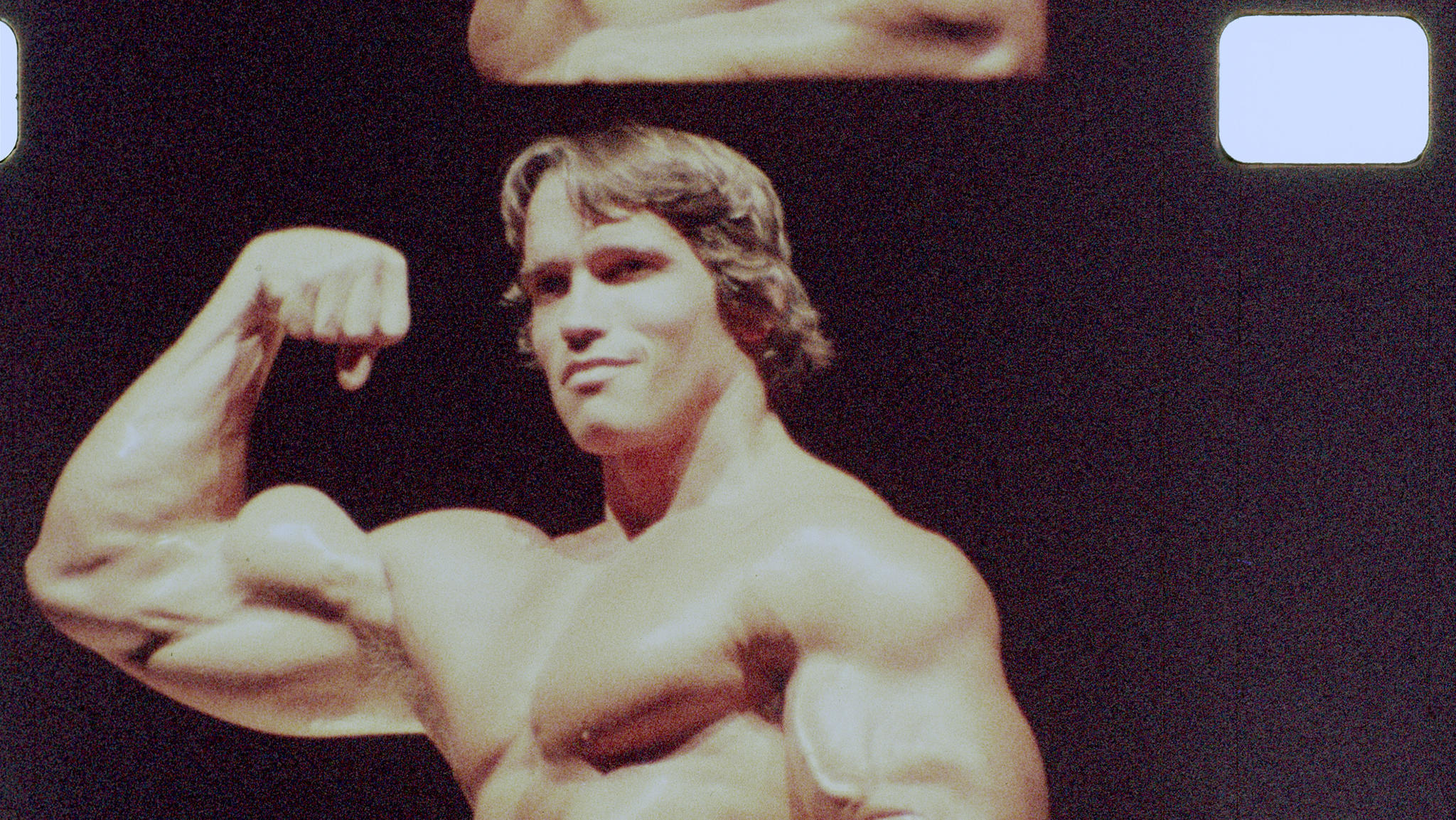 Arnold Schwarzenegger The Art Of Bodybuilding Iffr Images, Photos, Reviews