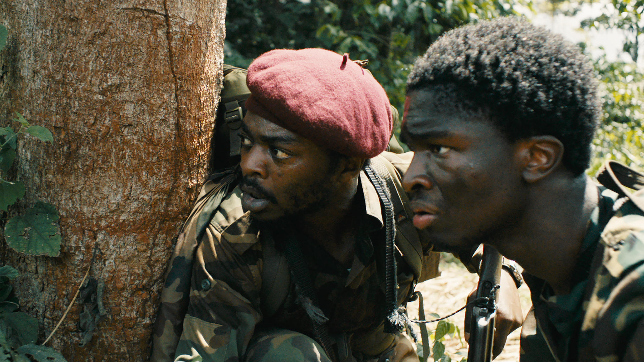 Film La Miséricorde De La Jungle La miséricorde de la jungle | IFFR