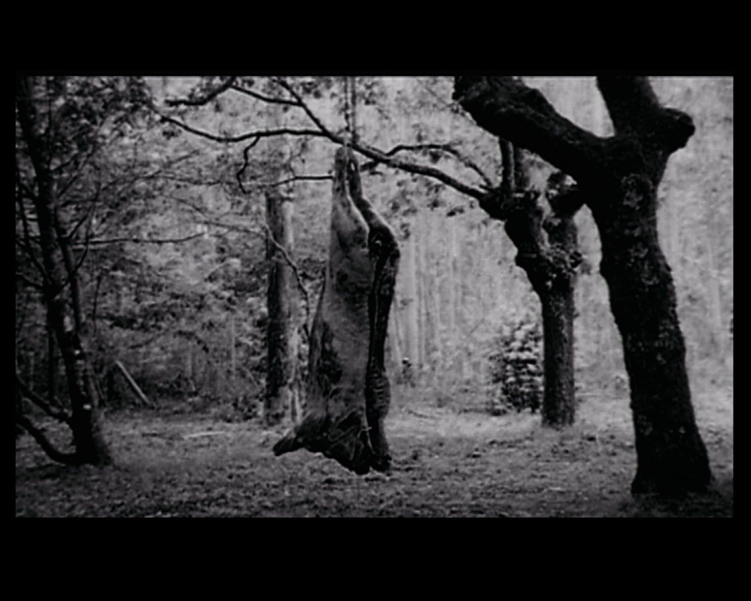The Fifth Gospel Of Kaspar Hauser Iffr