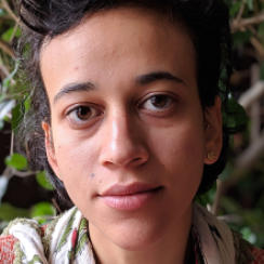 Nazlı Dinçel